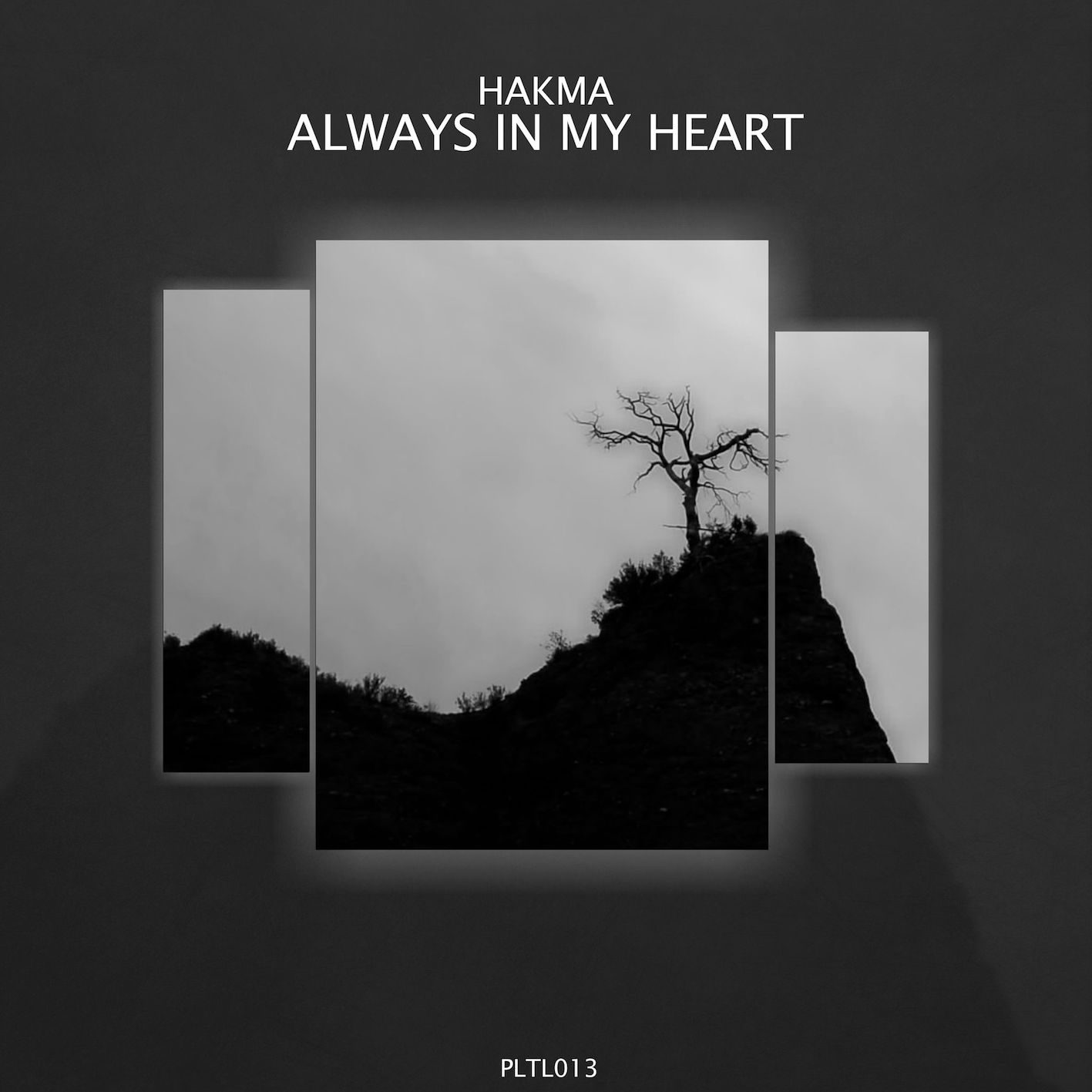 hake always in my heart ecstatic