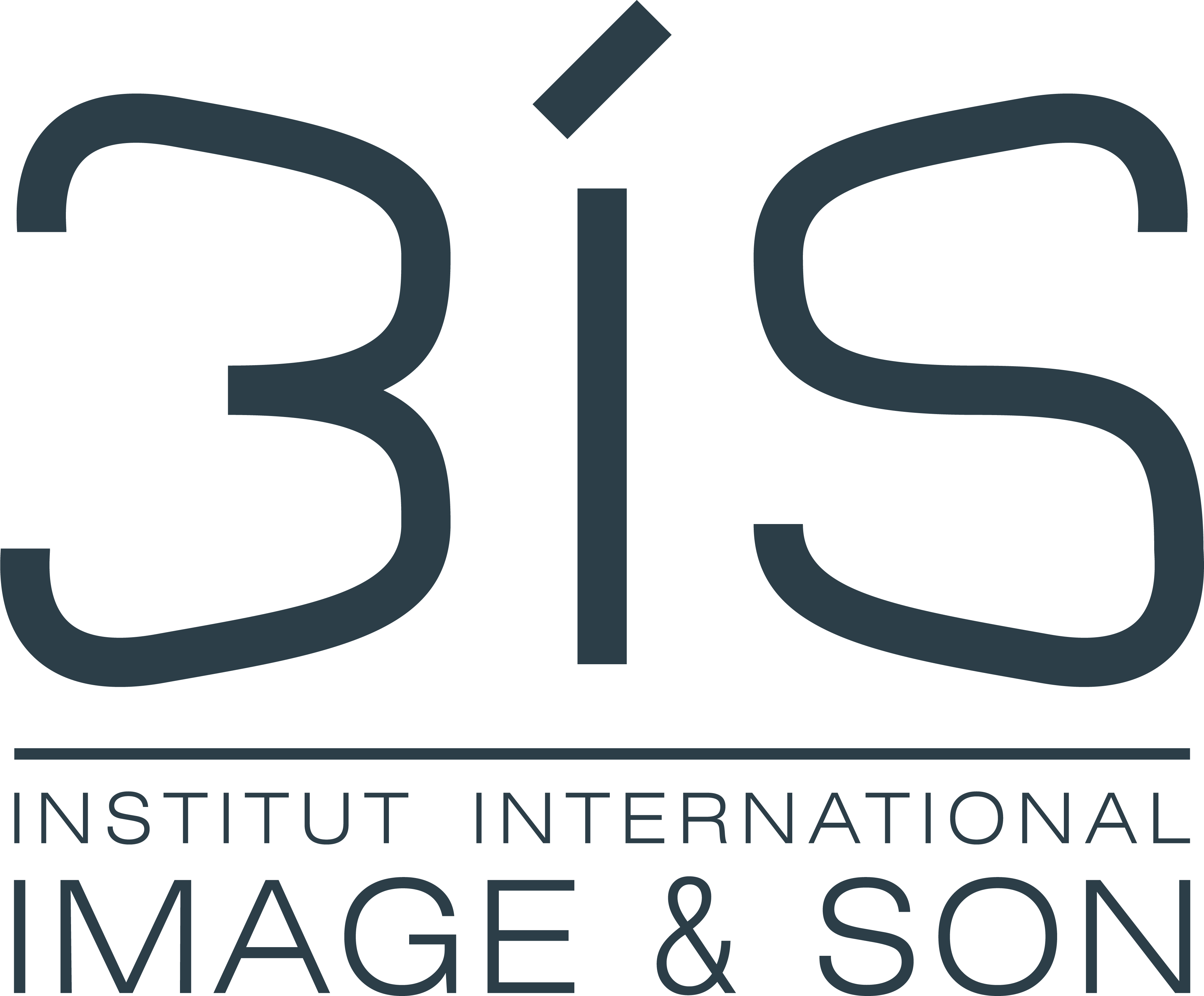Logo_3iS